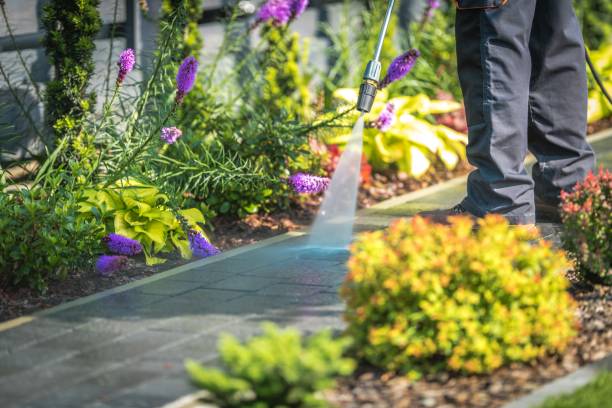 Best Spring Cleaning  in Moraga, CA